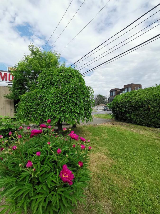 Motel Sainte Catherine Exteriér fotografie